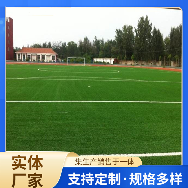 西安市学校塑胶跑道人造草坪 - 排名
